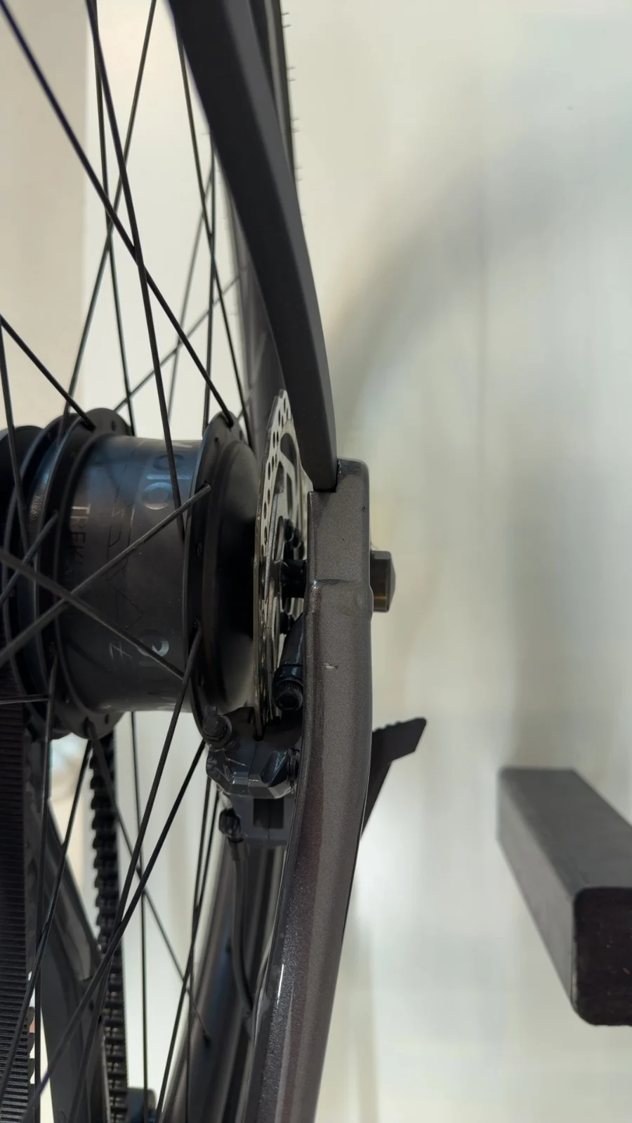 Orbea Diem 10 — Testrad Detailaufnahme