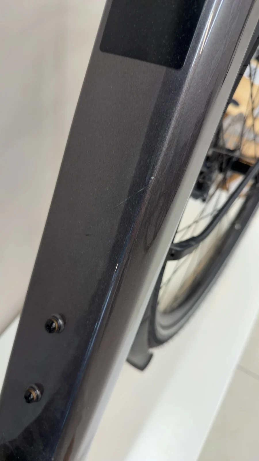 Orbea Diem 10 — Testrad Detailaufnahme
