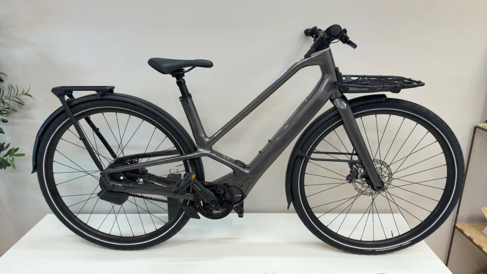 Orbea Diem 10 — Testrad Detailaufnahme