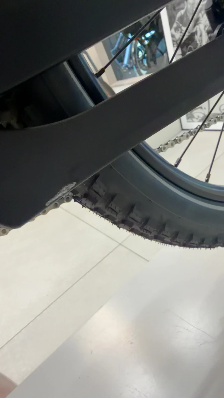 Orbea MUGA 30 — Testrad Detailaufnahme