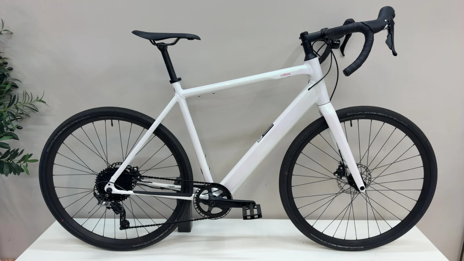 Coboc Torino GRV — Testrad Detailaufnahme