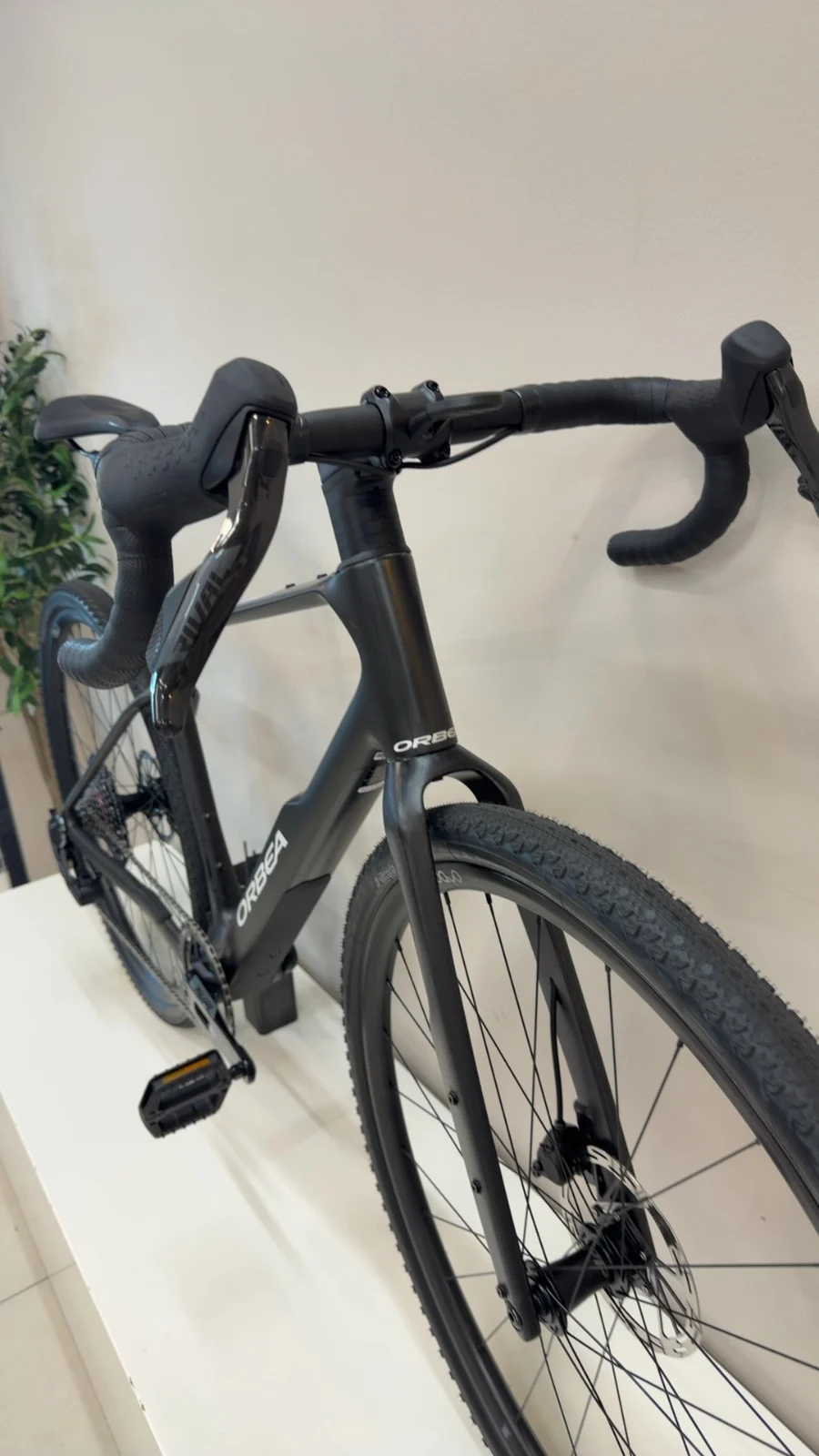 Orbea TERRA M31eTEAM 1X — Testrad Detailaufnahme