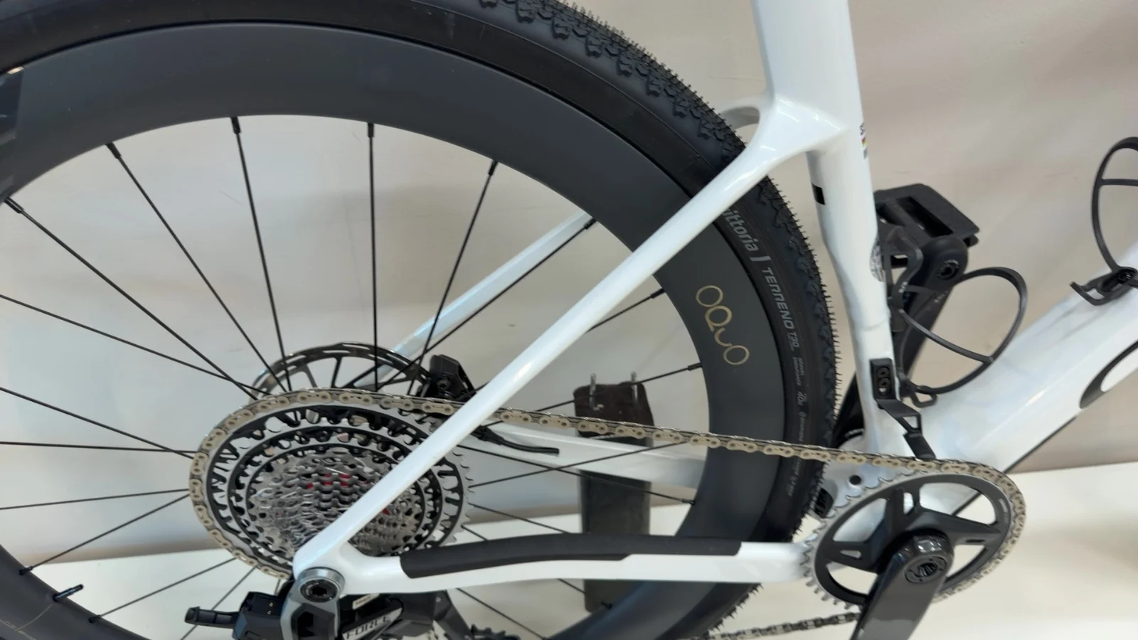 Orbea TERRA RACE M21eLTD 1X — Testrad Detailaufnahme
