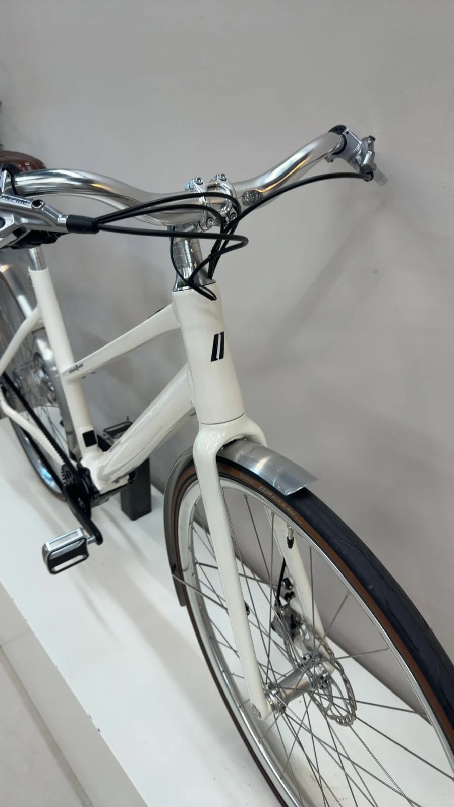 Schindelhauer Antonia VI MAHLE Pinion — Testrad Detailaufnahme