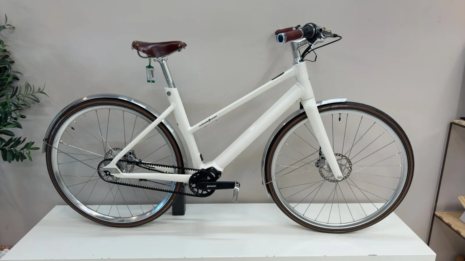 Schindelhauer Antonia VI MAHLE Pinion — Testrad Detailaufnahme