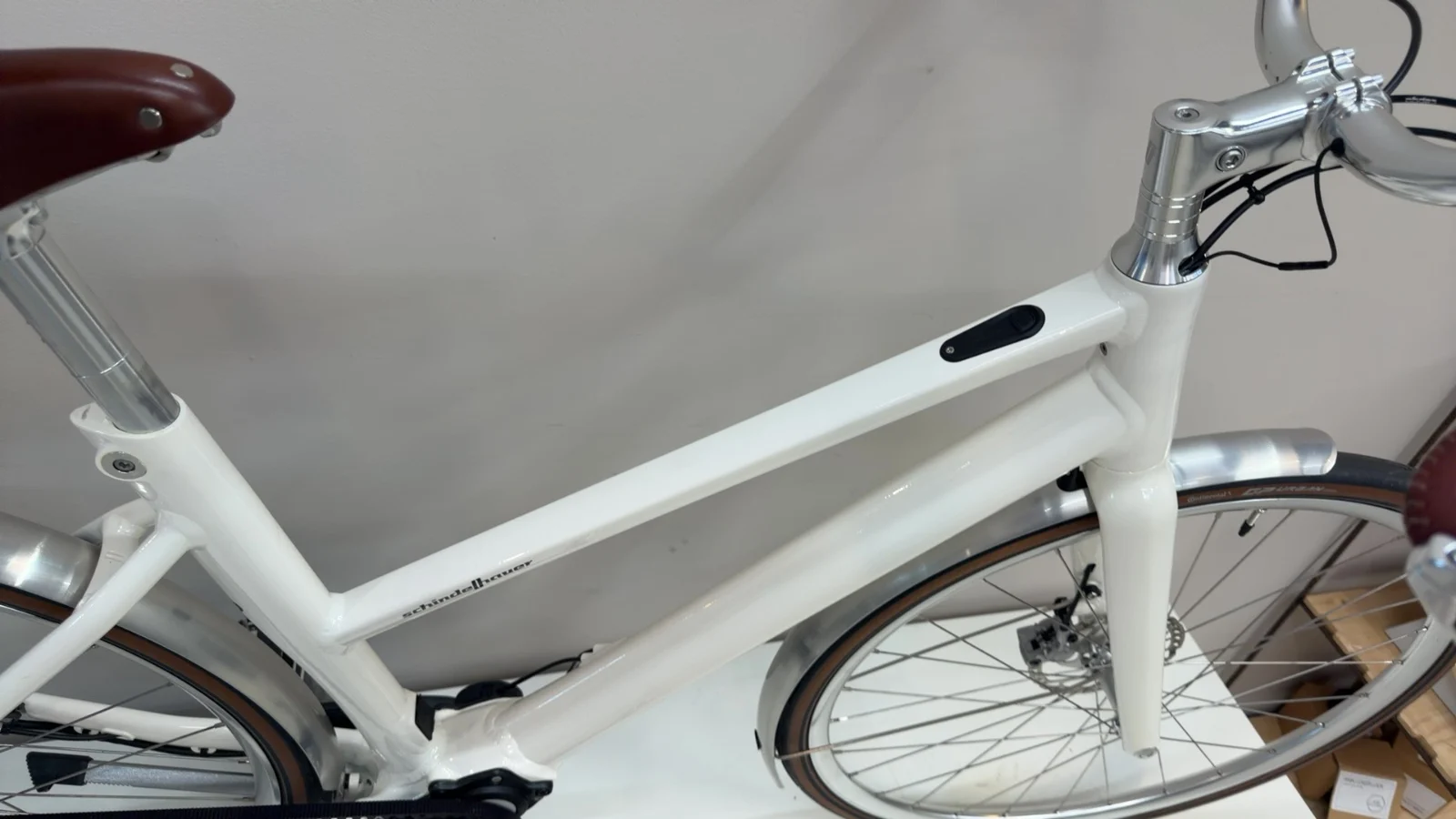 Schindelhauer Antonia VI MAHLE Pinion — Testrad Detailaufnahme