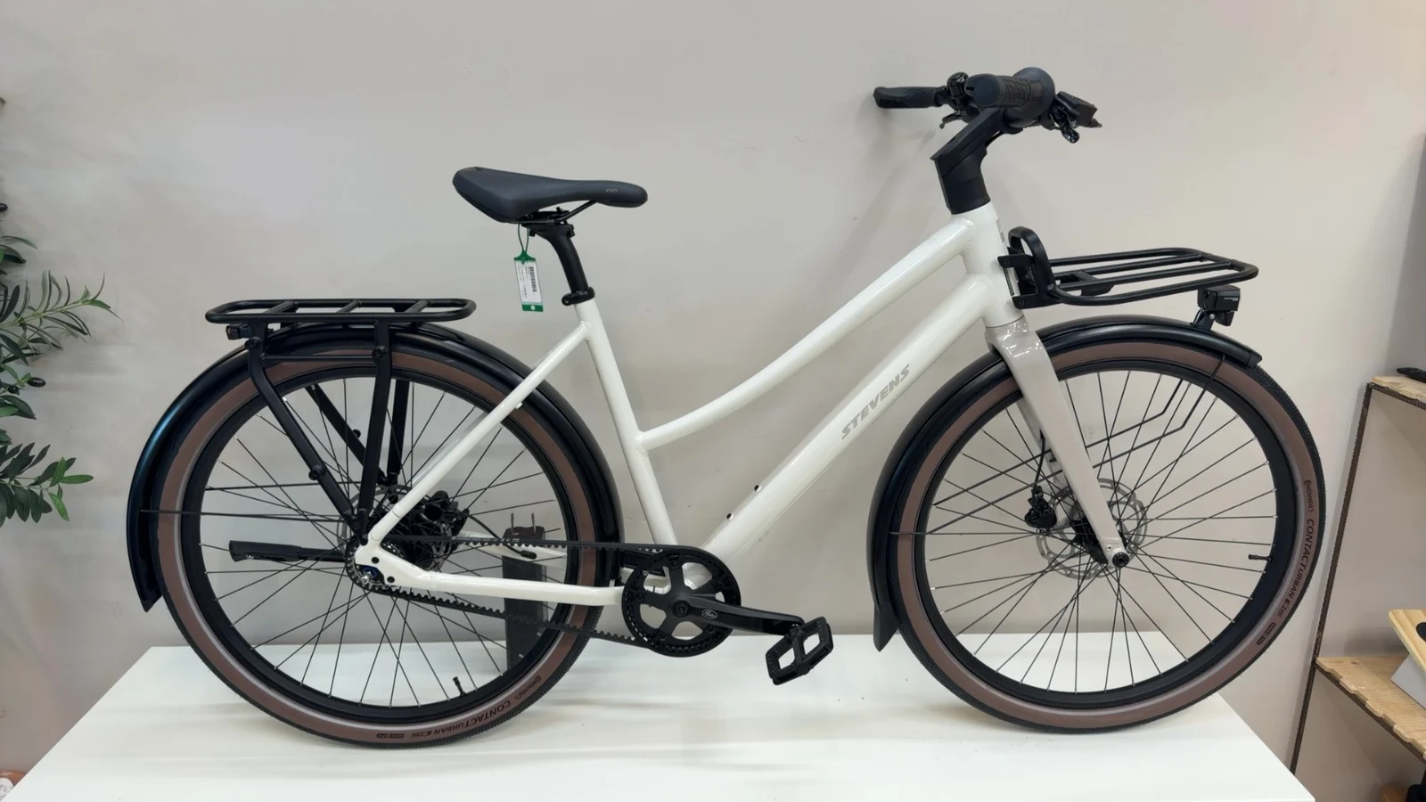 Stevens Amant 5.2 — Testrad Detailaufnahme